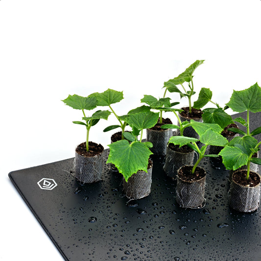 FYTO HEAT 35.2 Deluxe