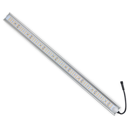 FYTO LED TFS-25 red