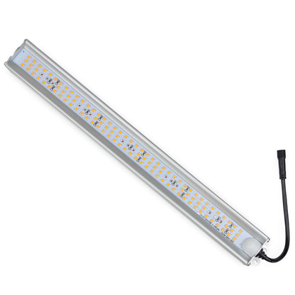 FYTO LED TFS-15 red